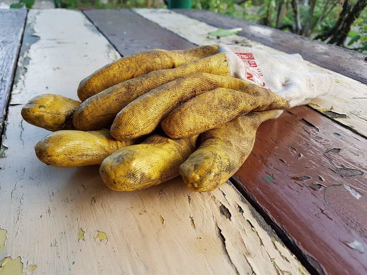 gloves garden dining table free photo