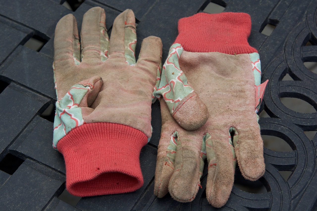 gloves garden dirty free photo