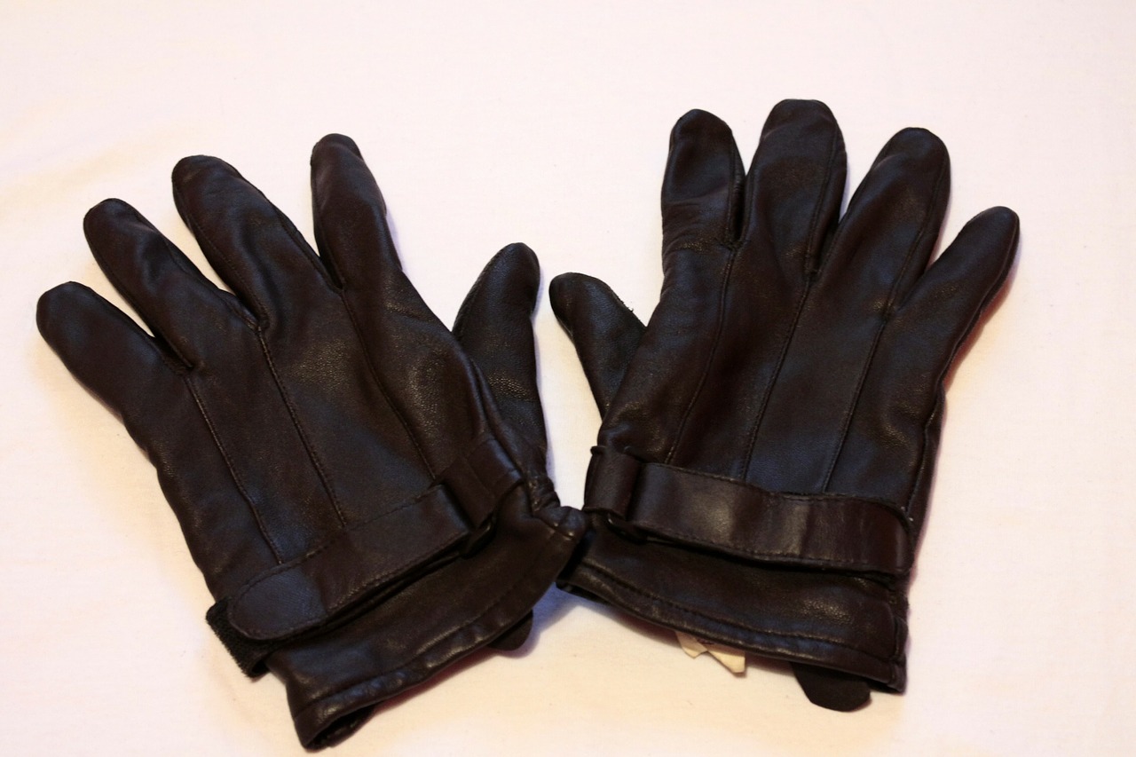 gloves leather cold free photo