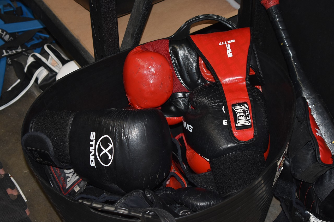 gloves boxing boxing gloves free photo