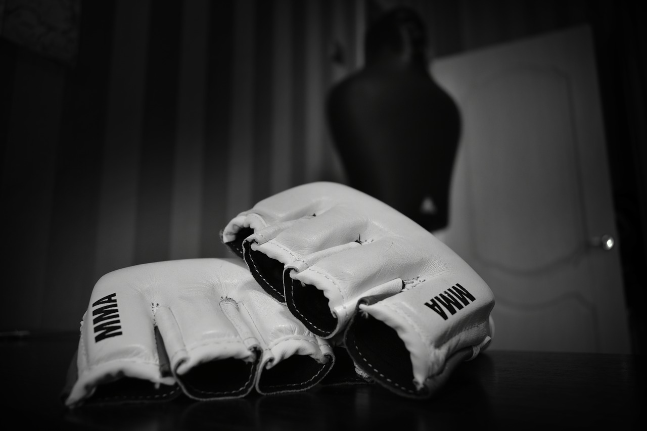 gloves  fighter  fight free photo