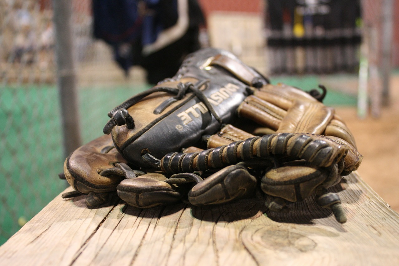 gloves baseball back-catcher free photo