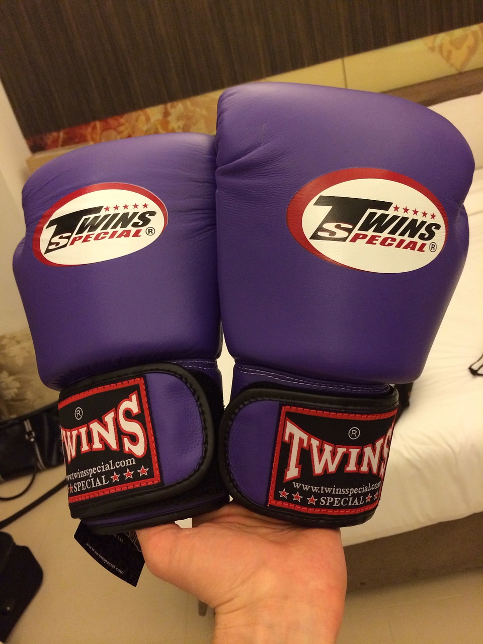 gloves boxing ring free photo