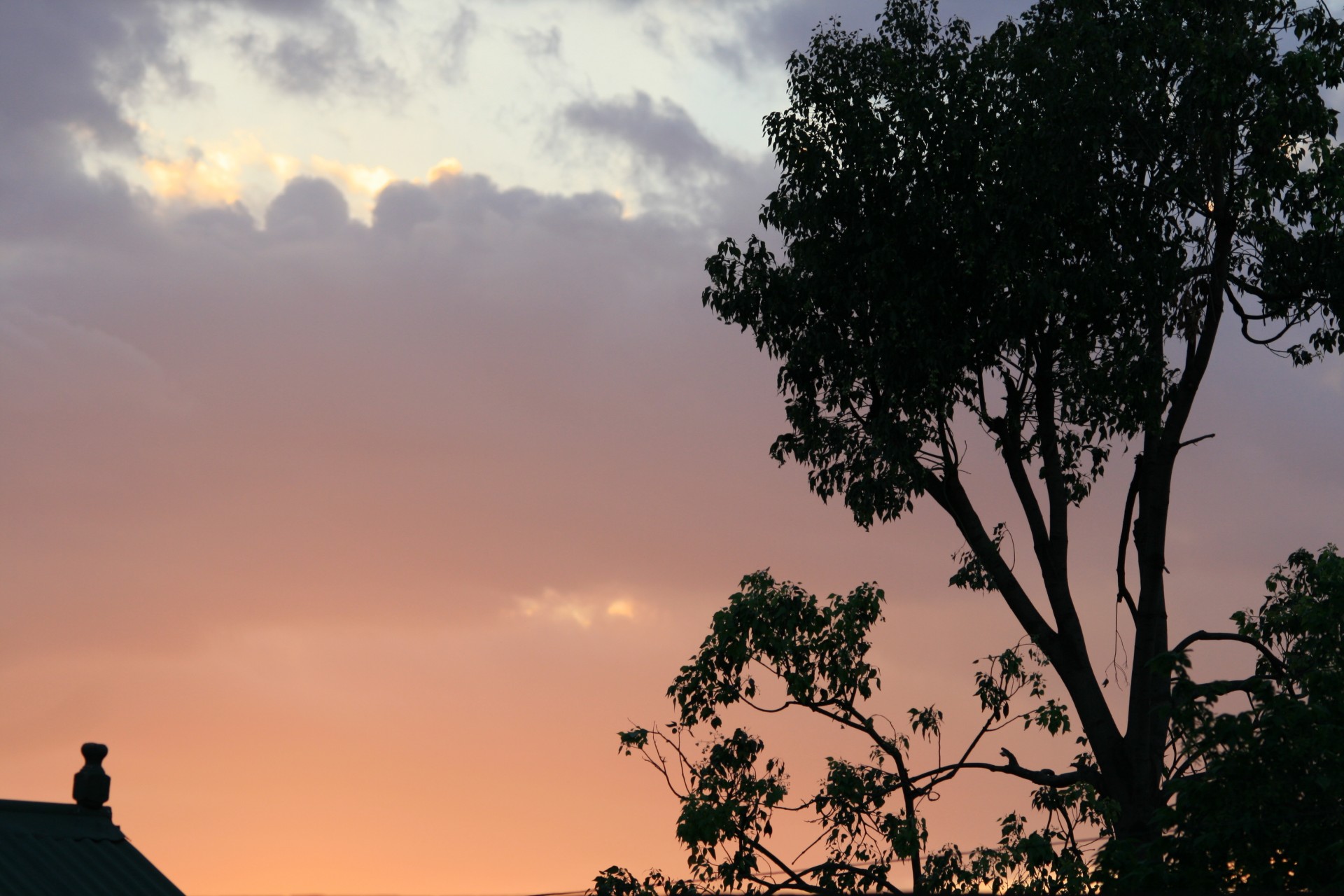 sunset pink-purple glow free photo