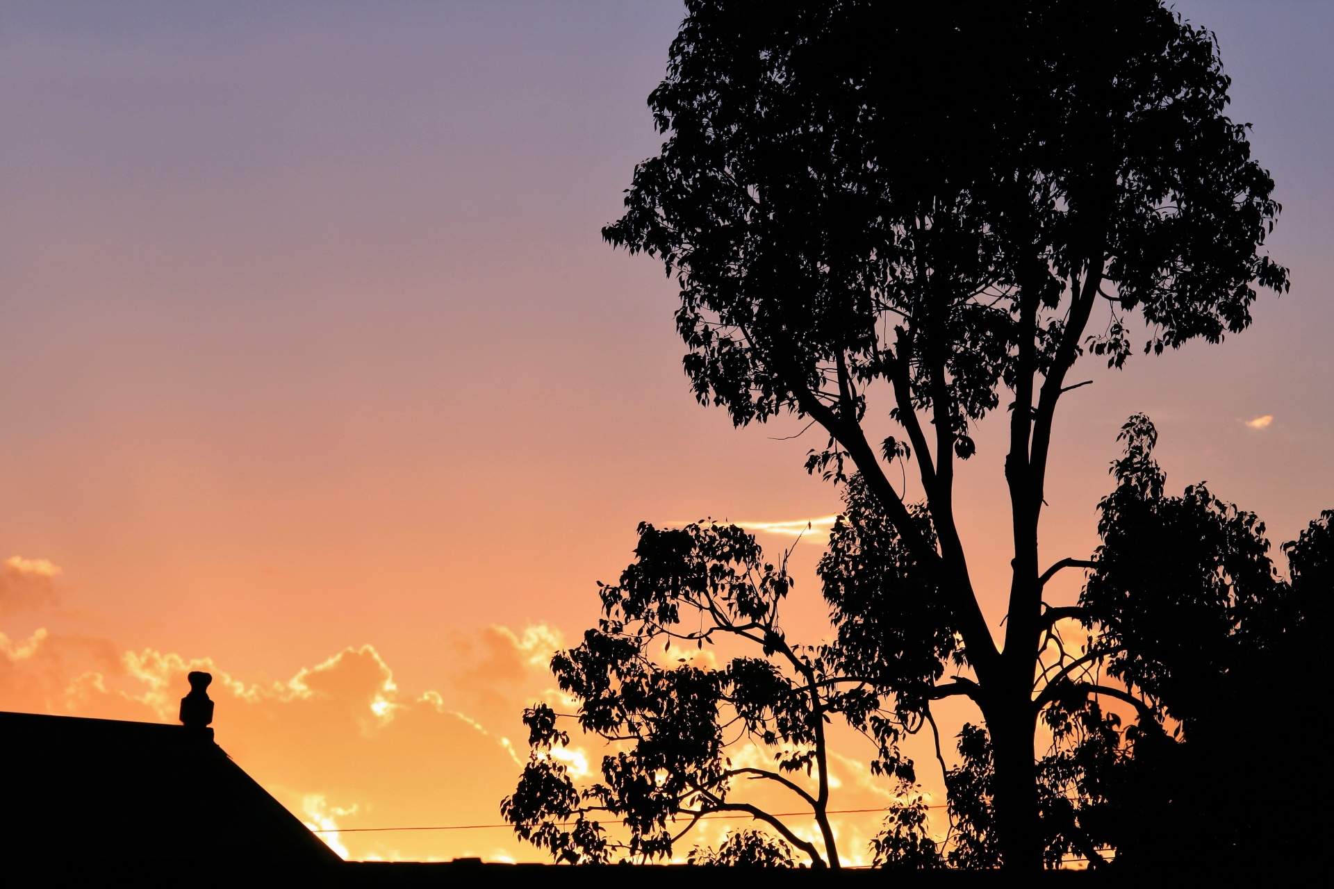 sky glowing golden free photo