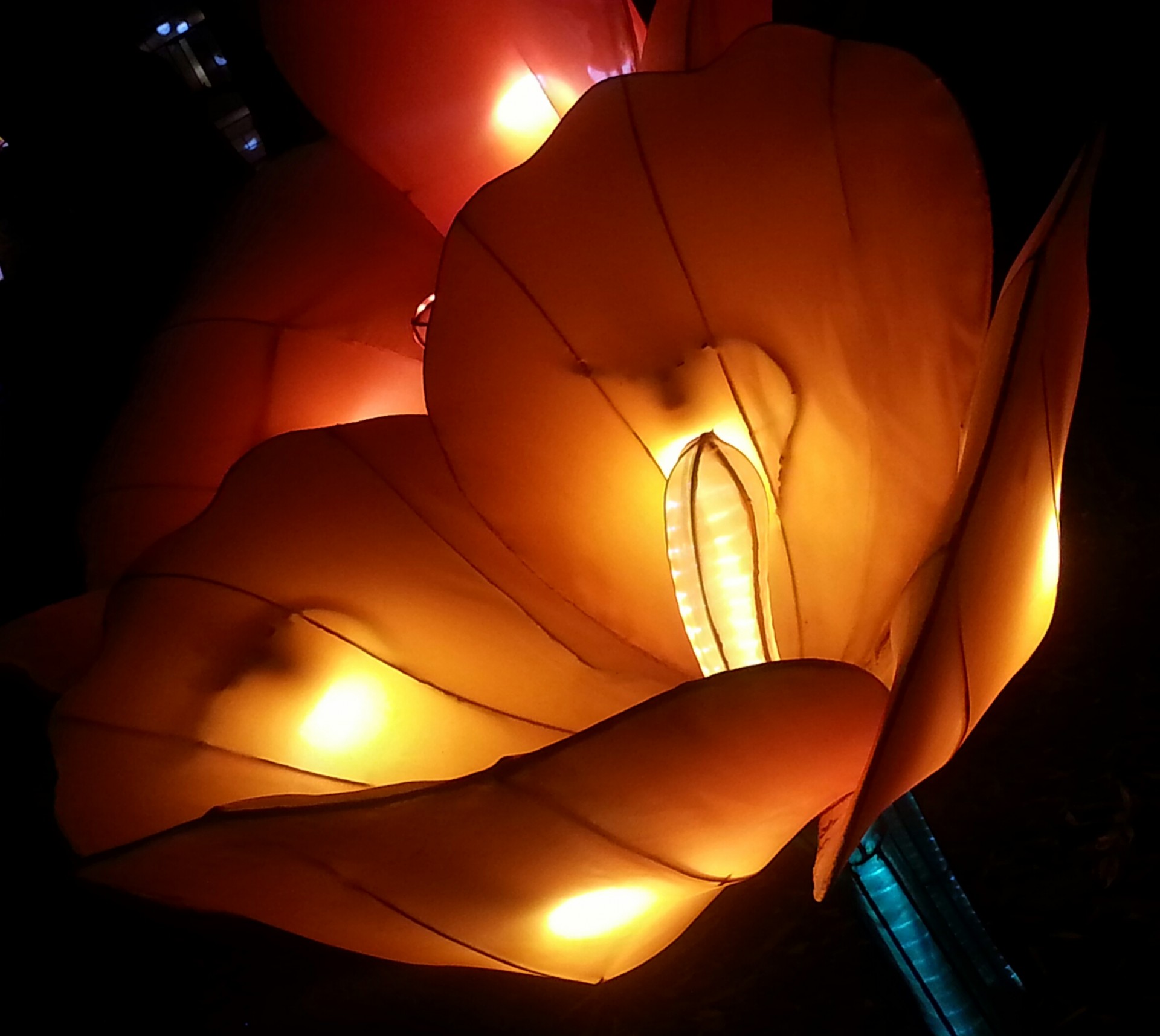 glowing japanese lantern free photo