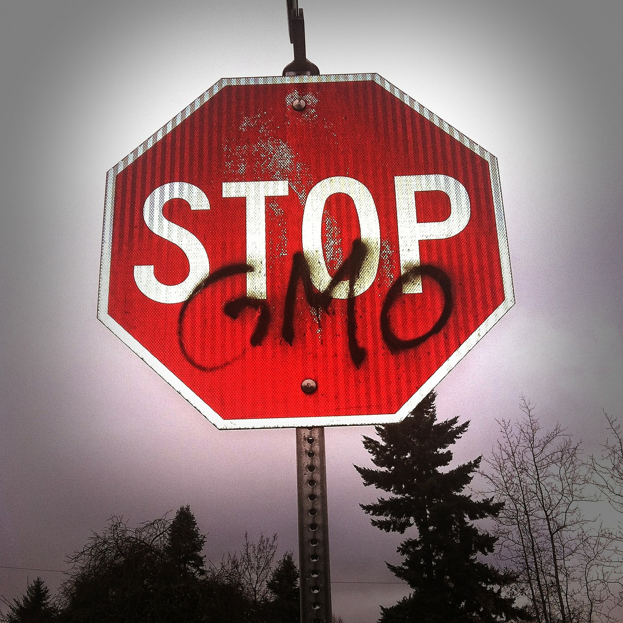 gmo science stop free photo