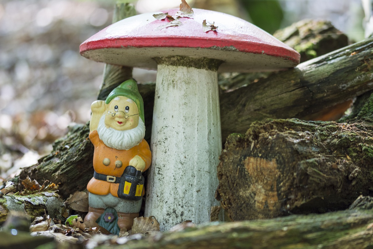 gnome mushroom forest free photo
