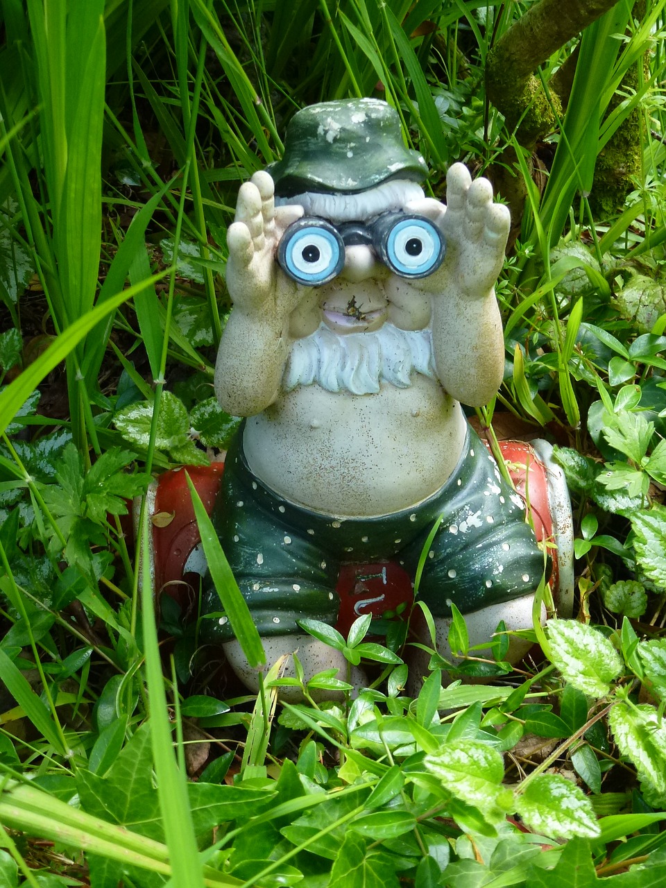 gnome garden binoculars free photo