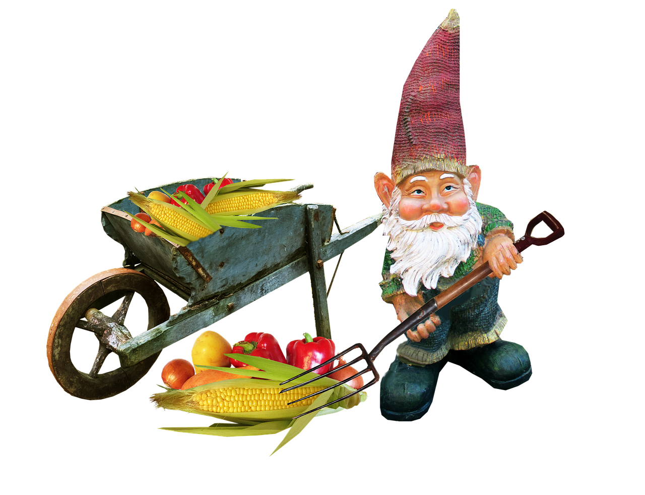 gnome working vegetables free photo