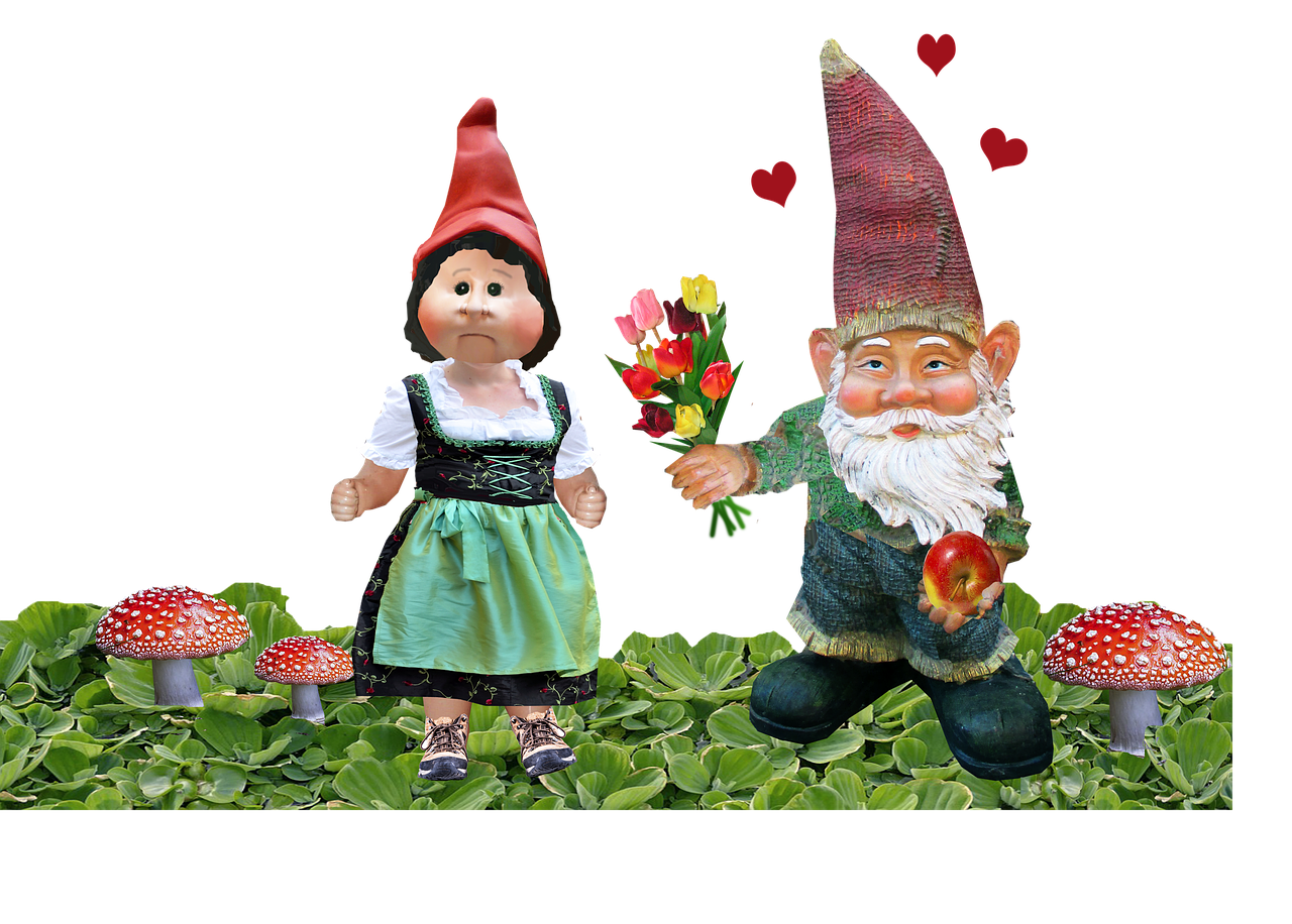 gnome valentine celebration free photo