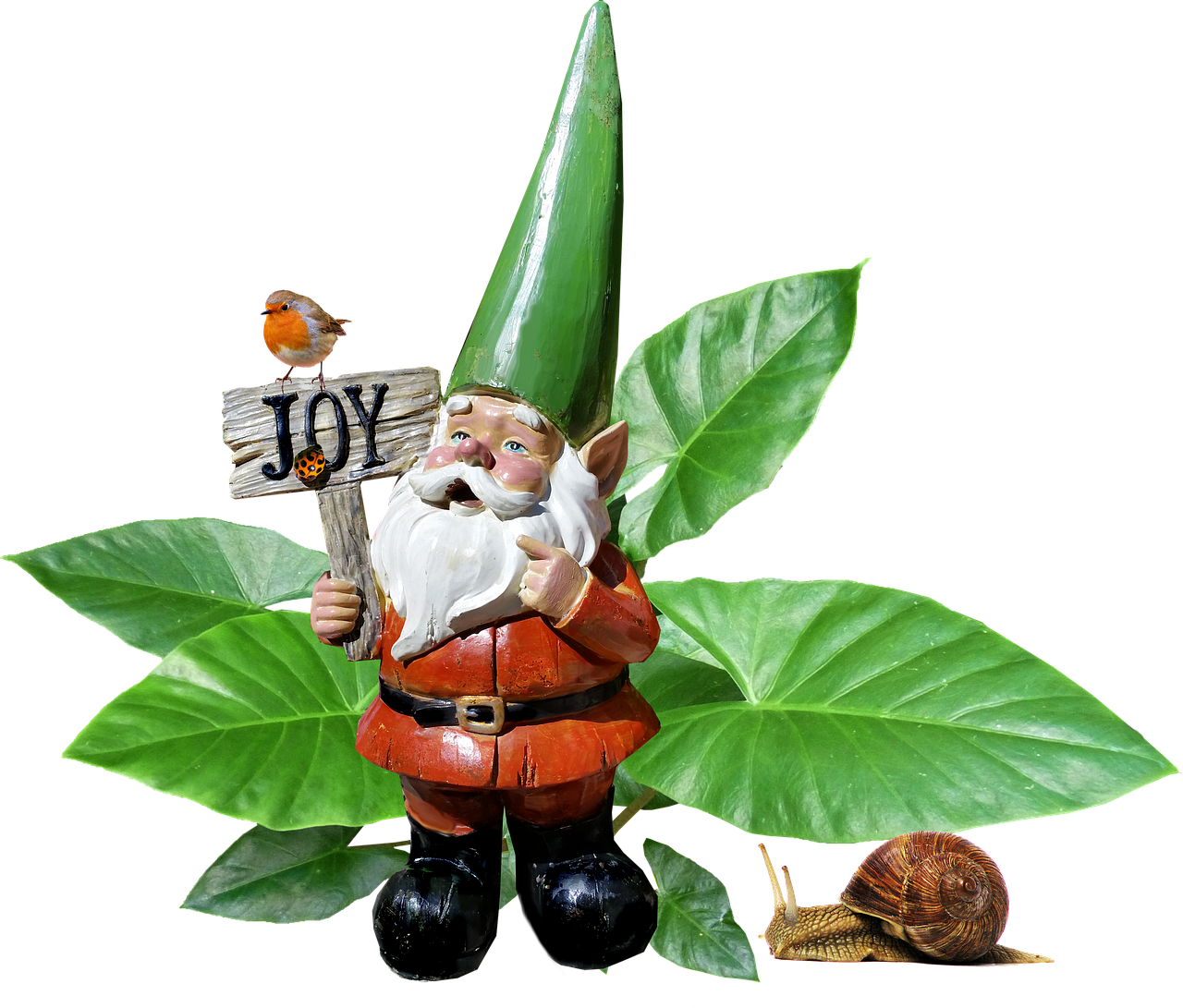 gnome  garden  plant free photo