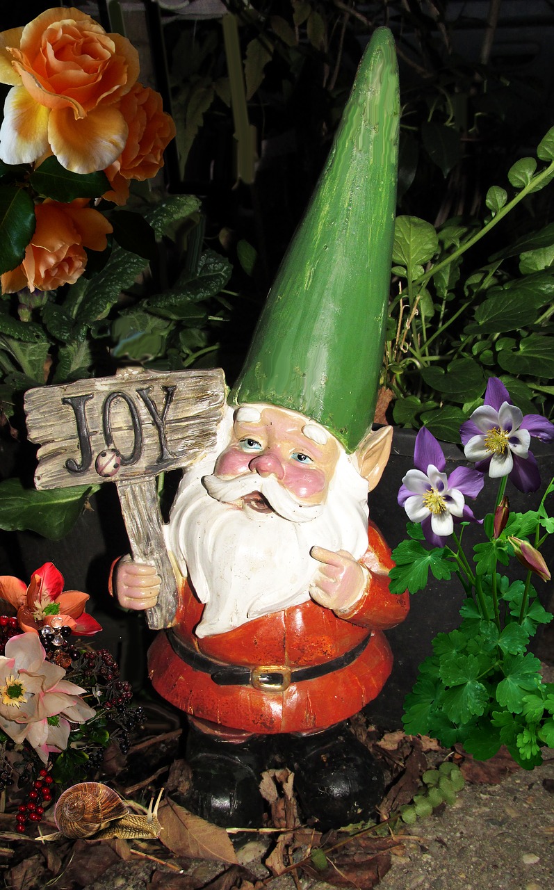 gnome  night garden  flowers free photo