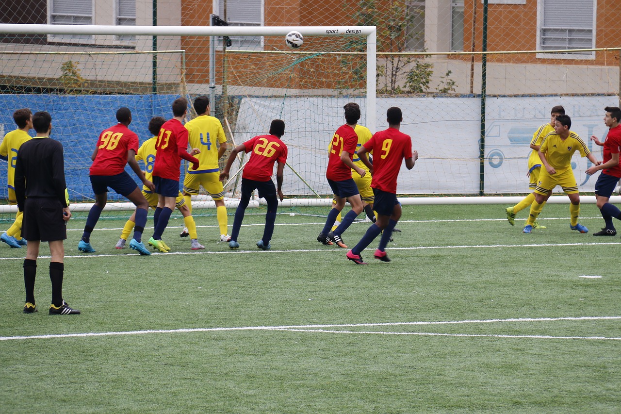 goal football ball free photo