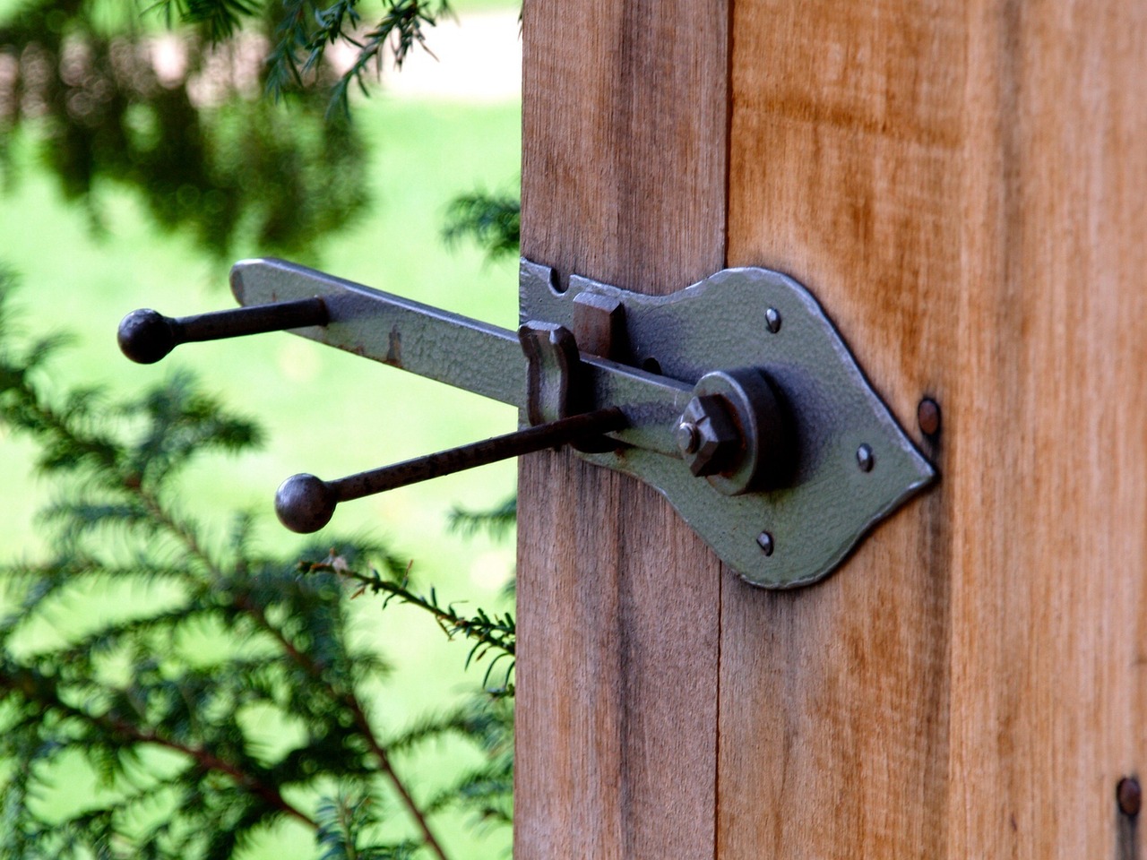 goal door gate free photo