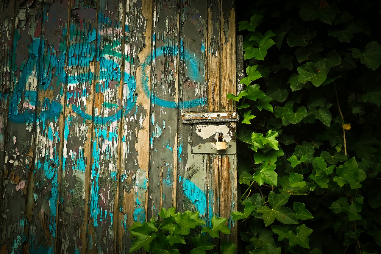 goal door old door free photo