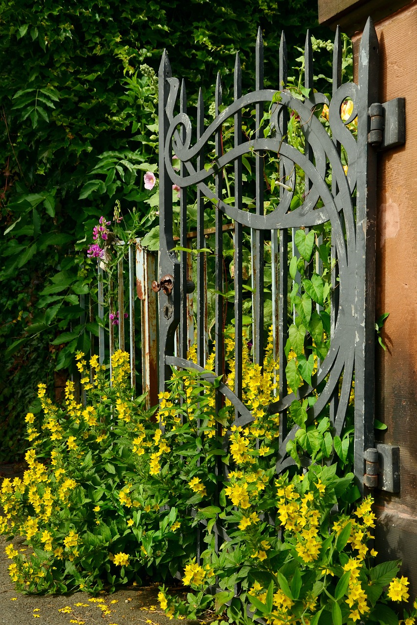 Download free photo of Goal,iron,old,overgrown,metal - from needpix.com