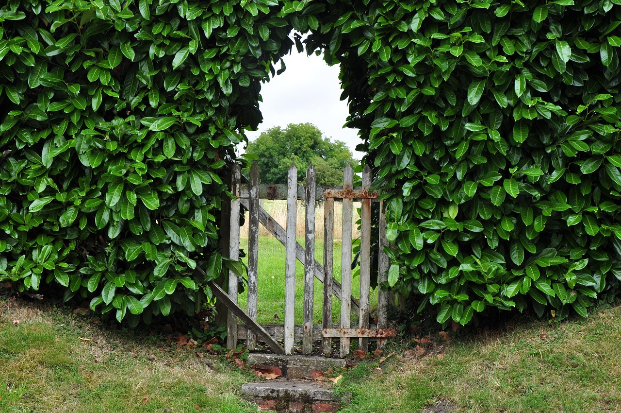 goal hedge garden gate free photo