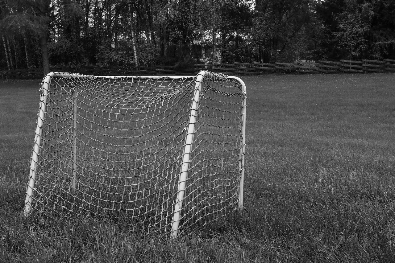 goal soccer sport free photo