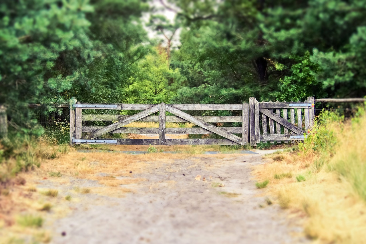 goal  gate  fence free photo