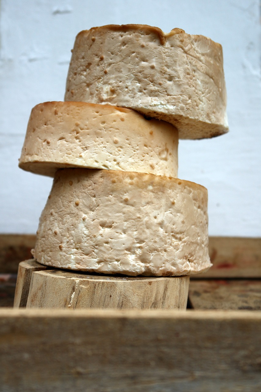 goat milk product cheese free photo