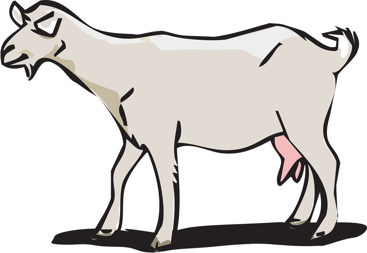 goat animal farm free vector graphics free photo