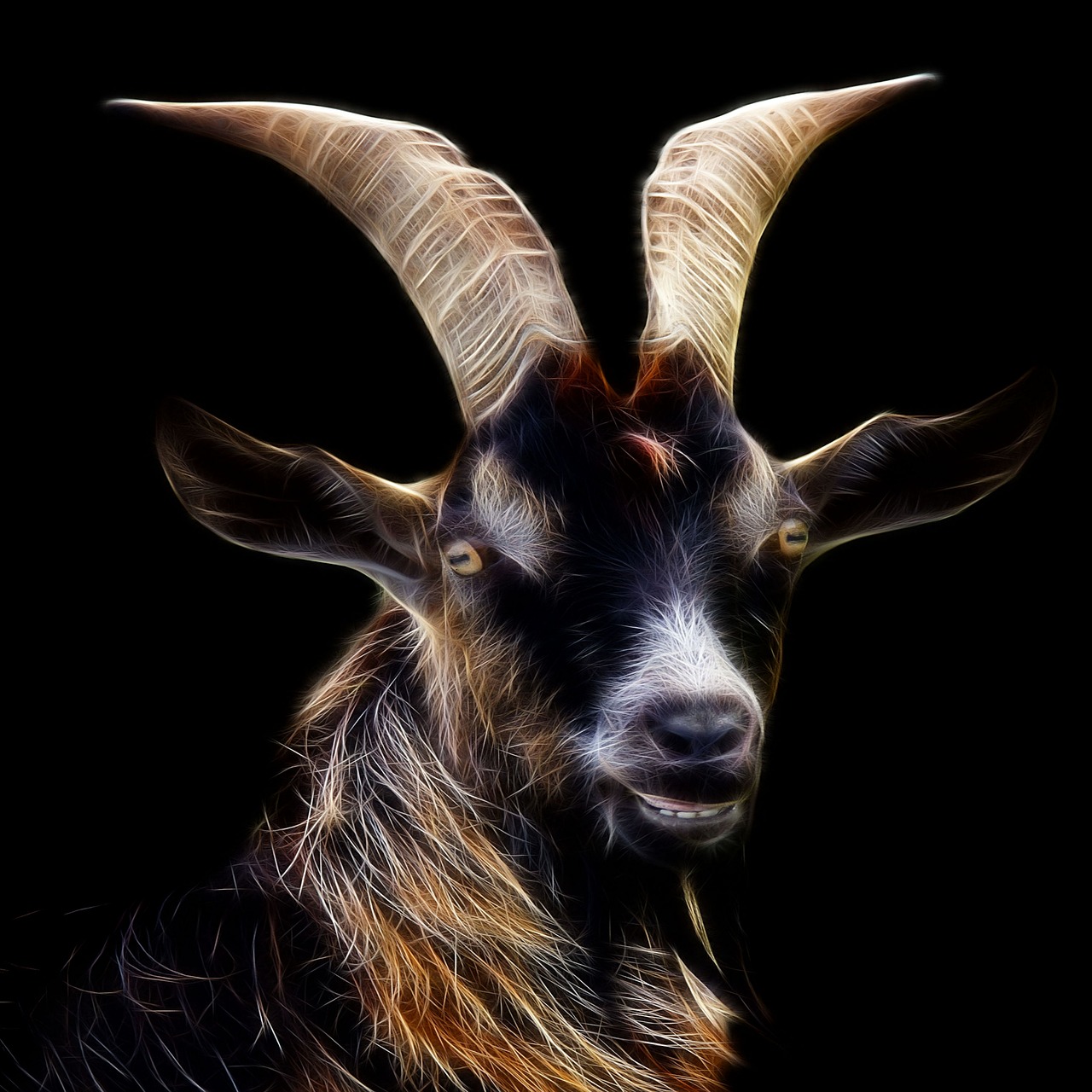 goat  fractalius  profile picture free photo