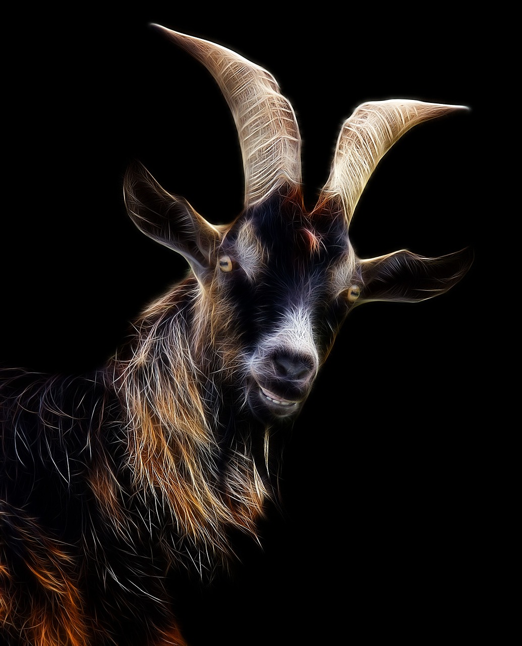 goat  fractalius  profile picture free photo