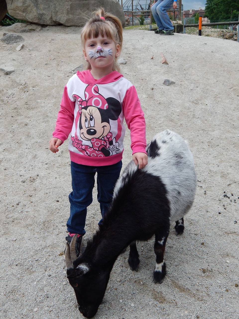 goat animal child free photo