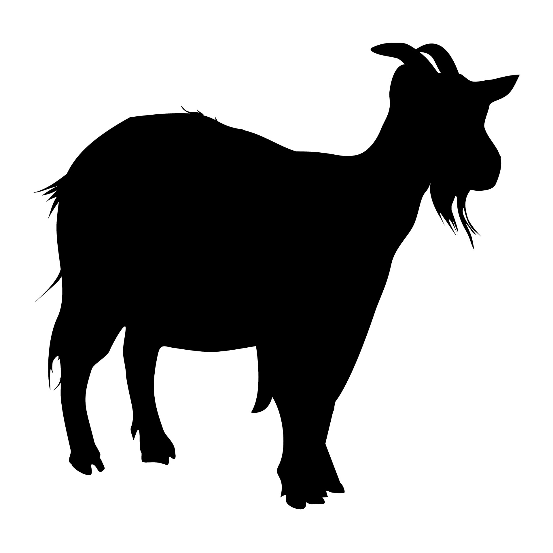 goat profile isolated free photo