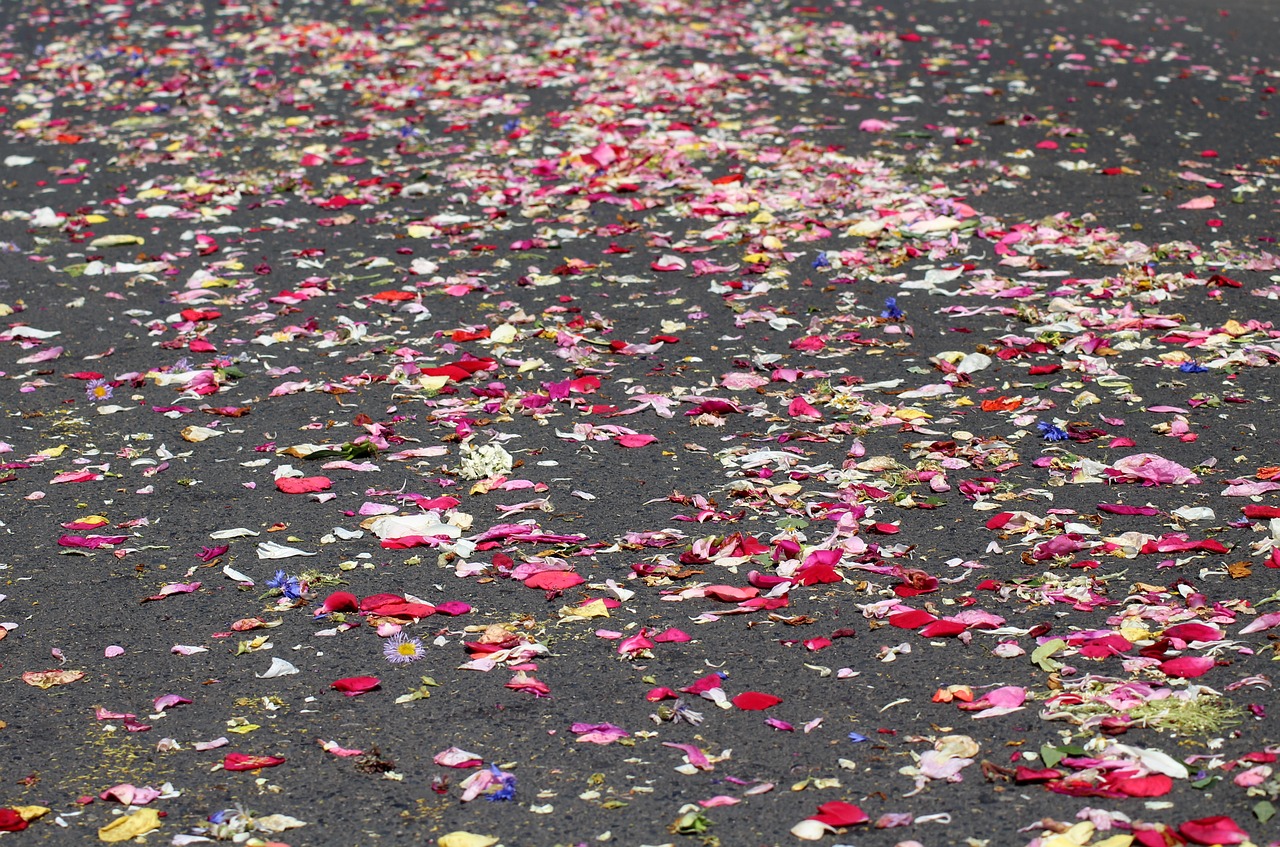 god body  the procession  flowers free photo