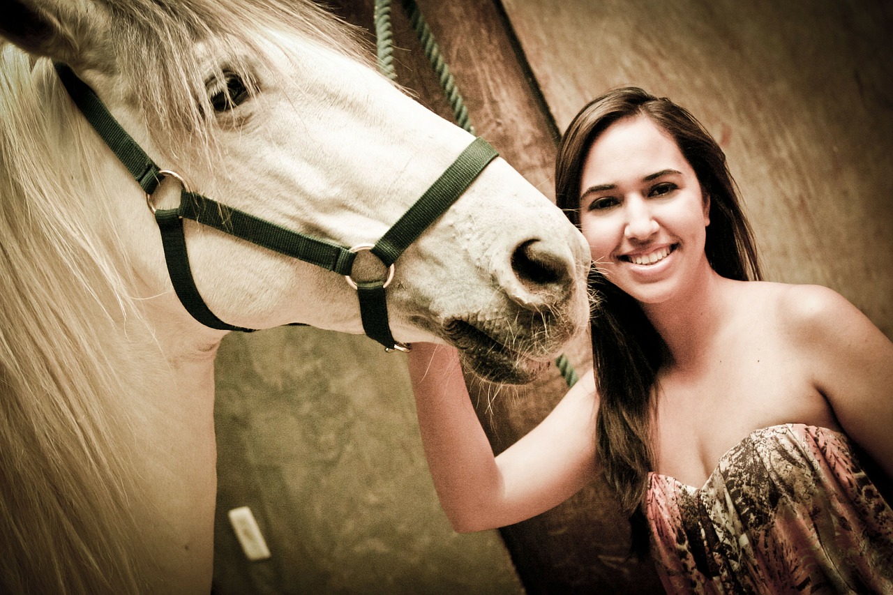 goiânia haras horse free photo