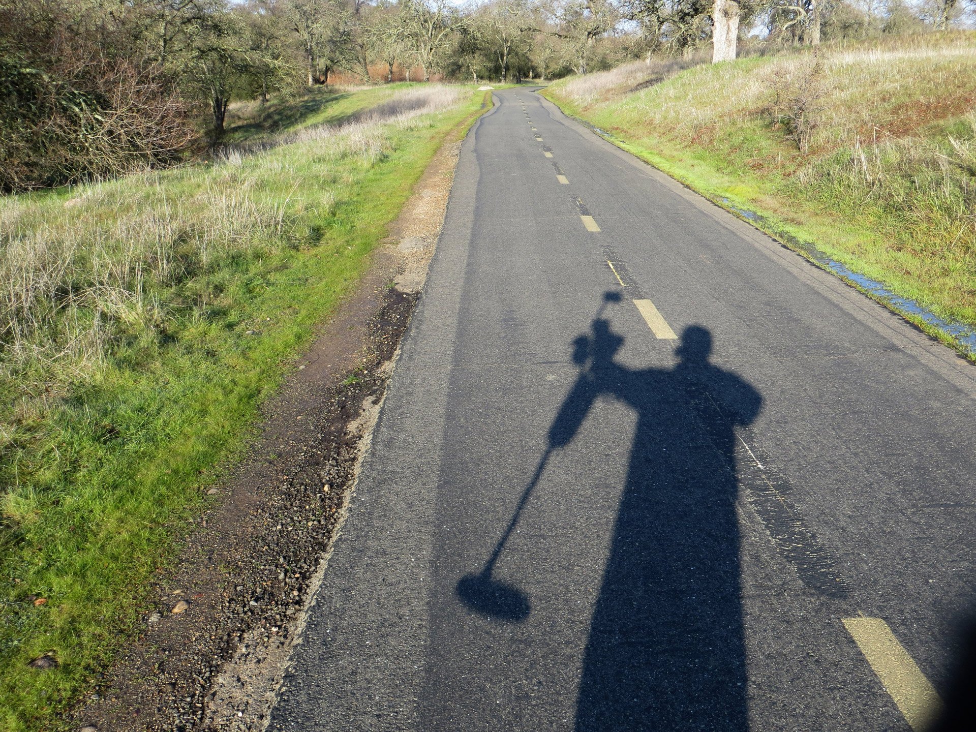 metal detecting bike path landscape free photo