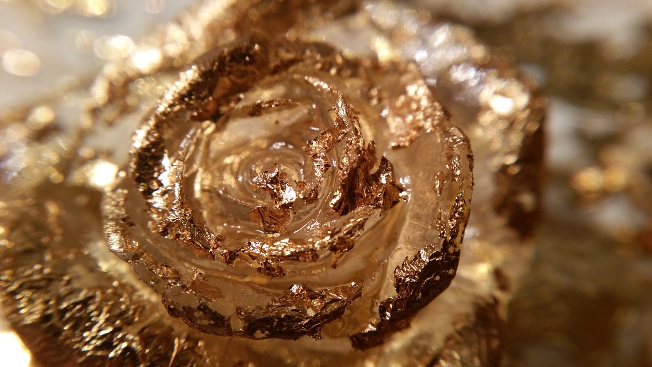 gold macro rose free photo