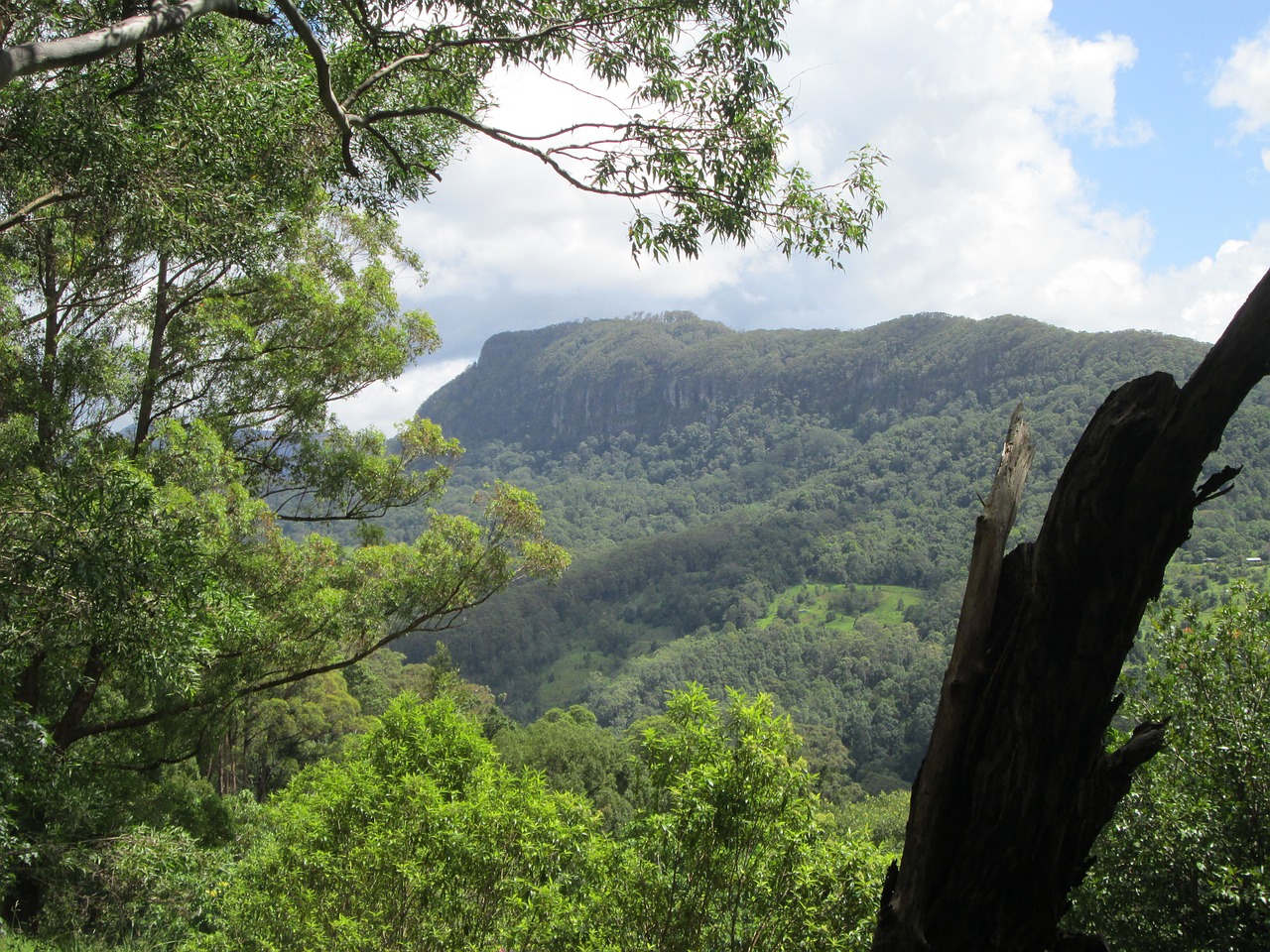 gold coast hinterland free photo