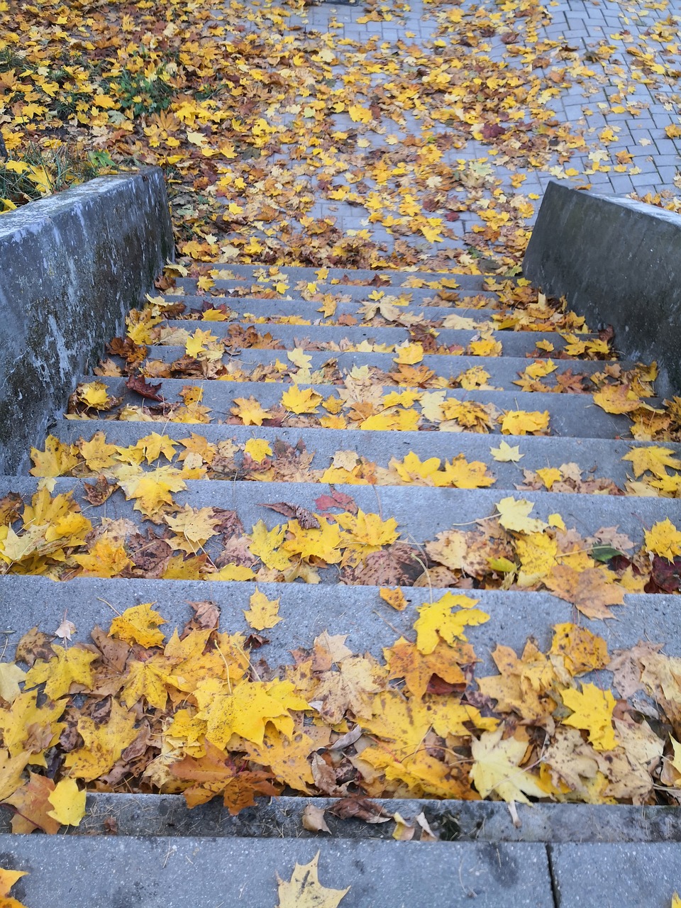 gold  stairs  leaves free photo