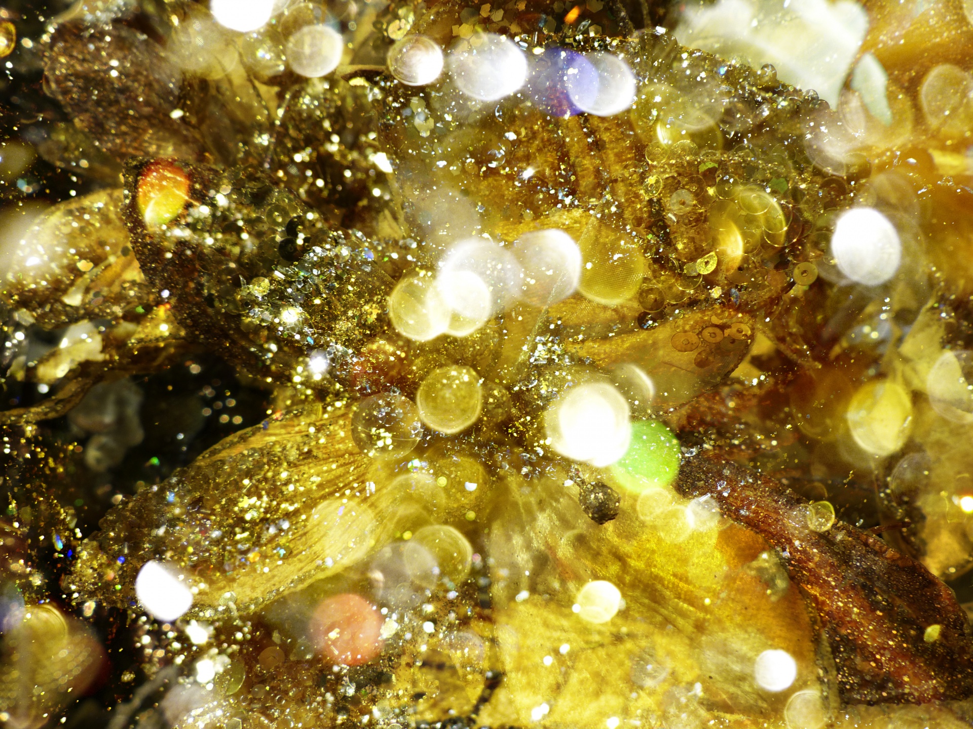 gold montage glitter free photo