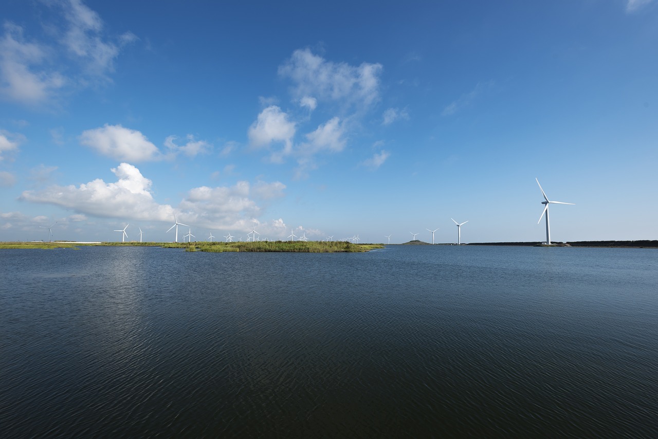 gold beach scenic area  wetland park  lake free photo