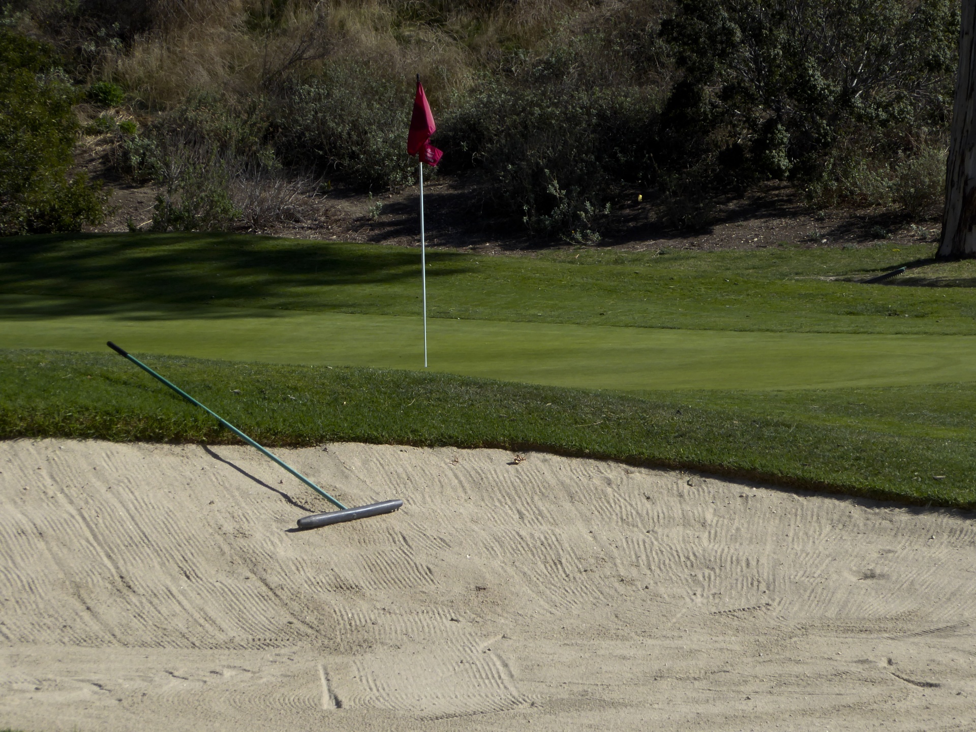 golf sand pit rake free photo