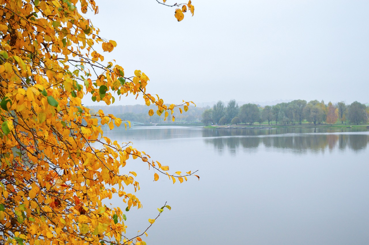 golden autumn autumn park october free photo