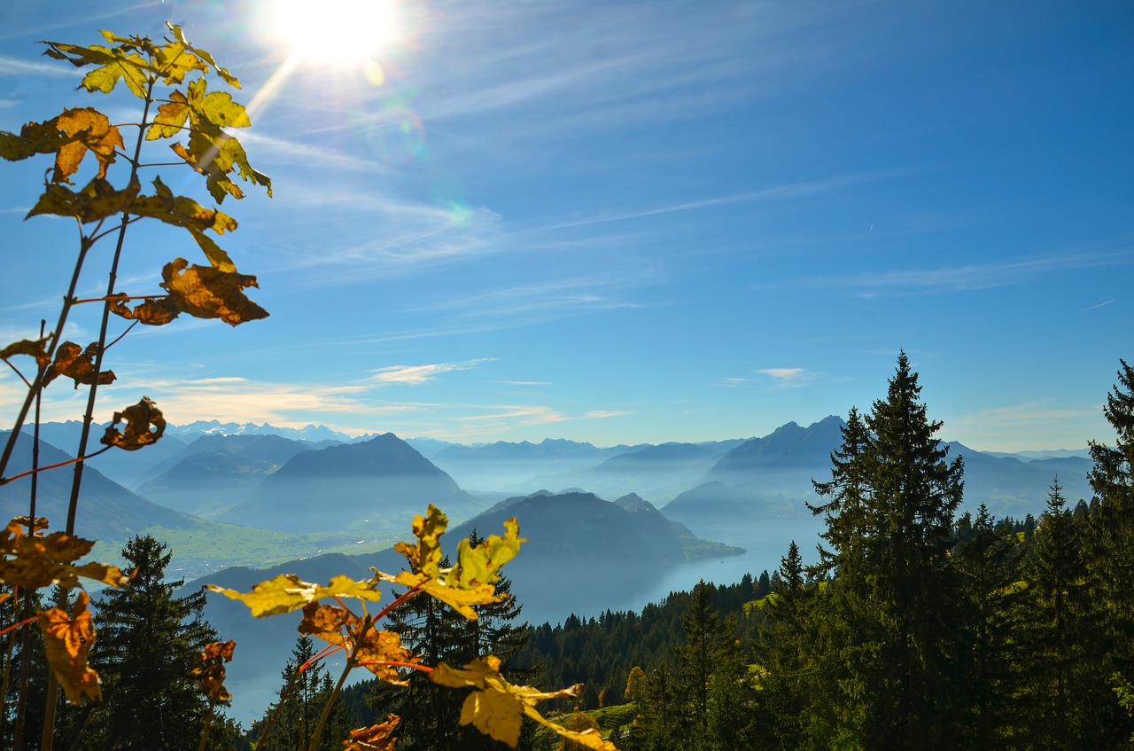 golden autumn alpine hike free photo