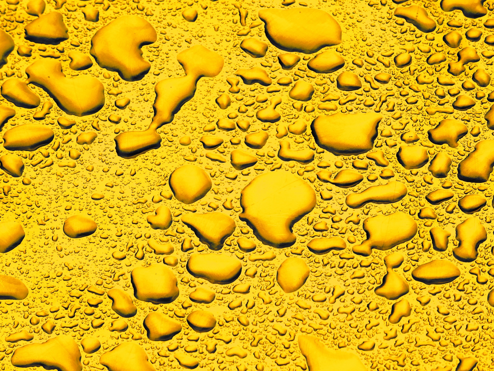 yellow rainfall rain free photo