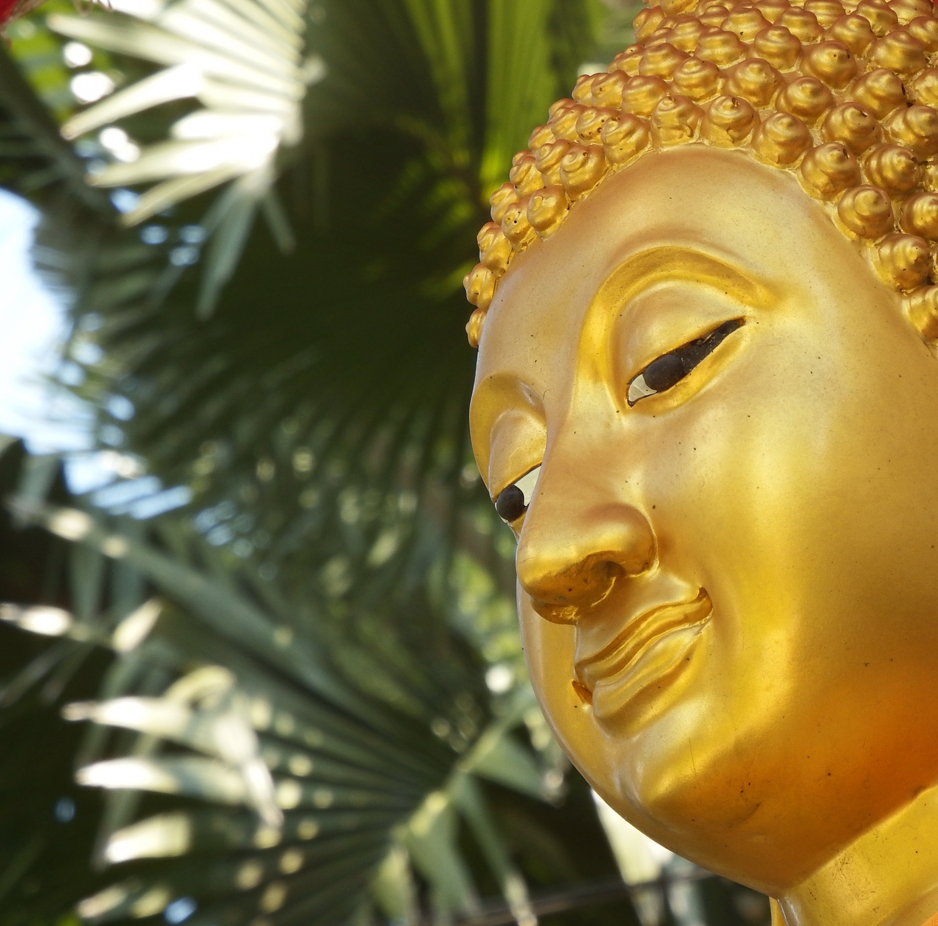 buddha face gold free photo