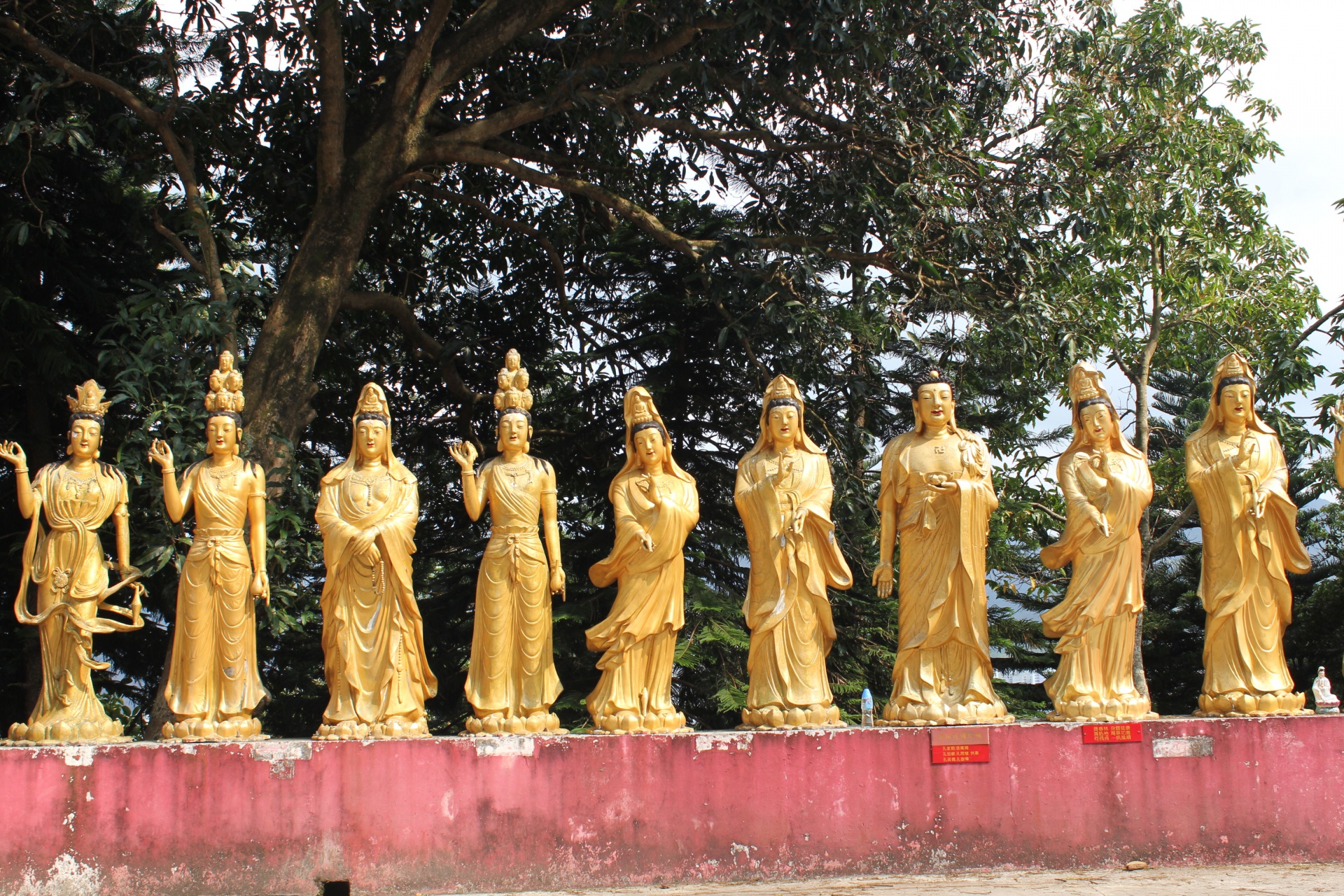golden buddha golden buddha free photo