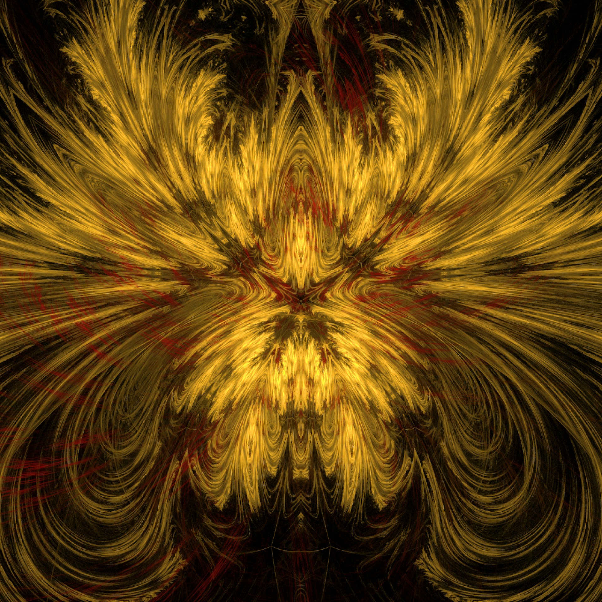 golden feathers abstract free photo