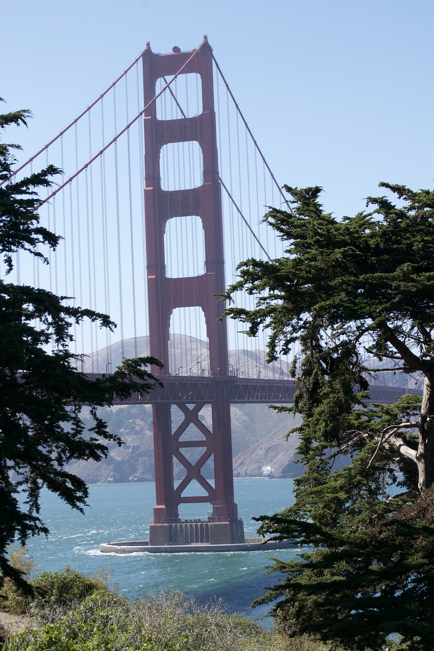 golden gate  bridge  san francisco free photo