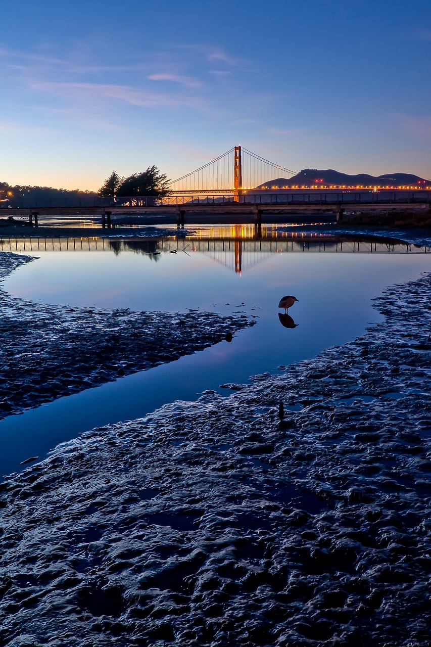 golden gate bridge crissy field marsh view architecture free photo