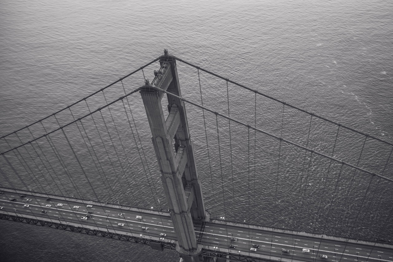 golden gate bridge san francisco black and white free photo