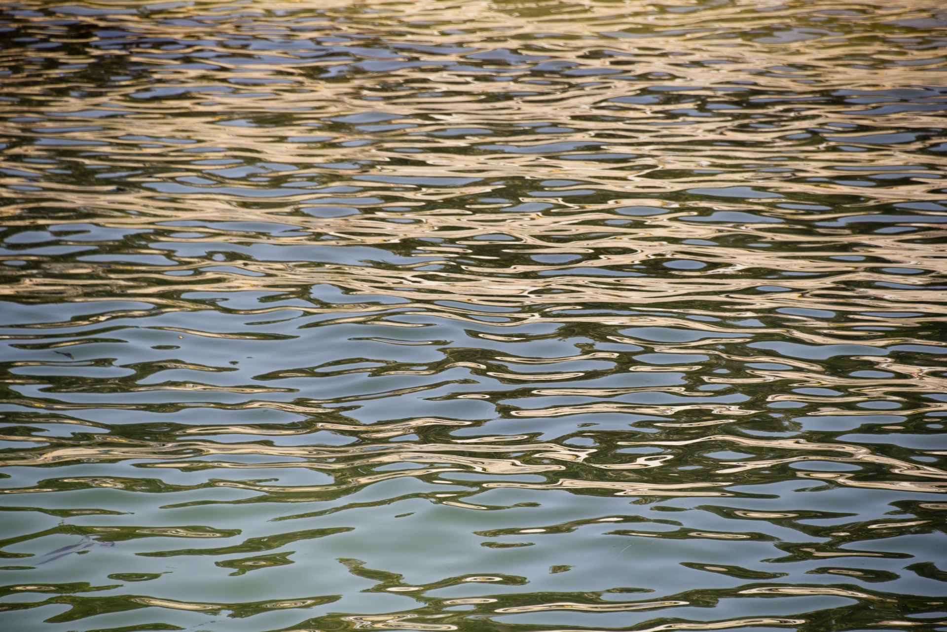 ripples background gold free photo