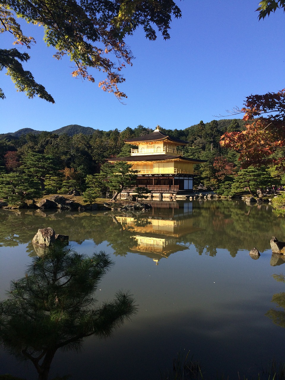 golden palace japan temple free photo
